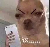 女星用自己胎盘当补药,揭秘人体胎盘|Youth予小希观察