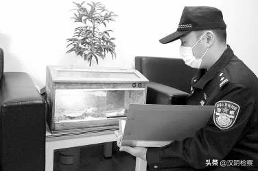 被没收的野生动物怎么处理,被没收的野生动物