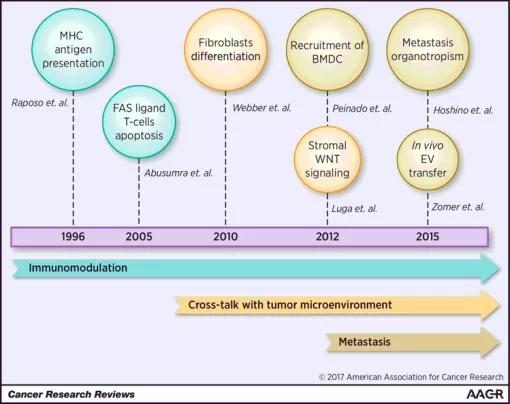 特洛伊木马计告诉我们什么道理,特洛伊木马计讲的是什么故事