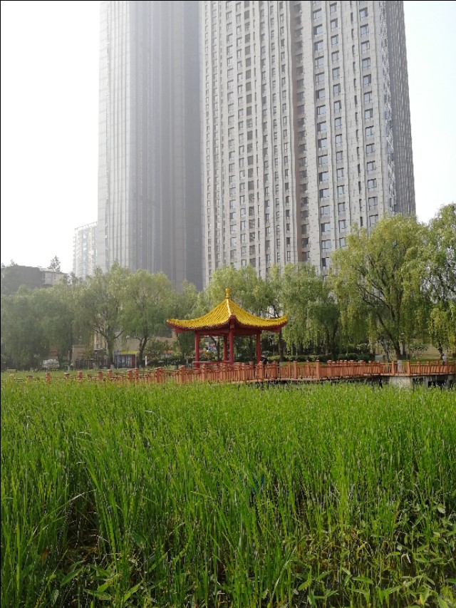 武汉菱角湖公园有亭子吗,武汉菱角湖公园开放时间