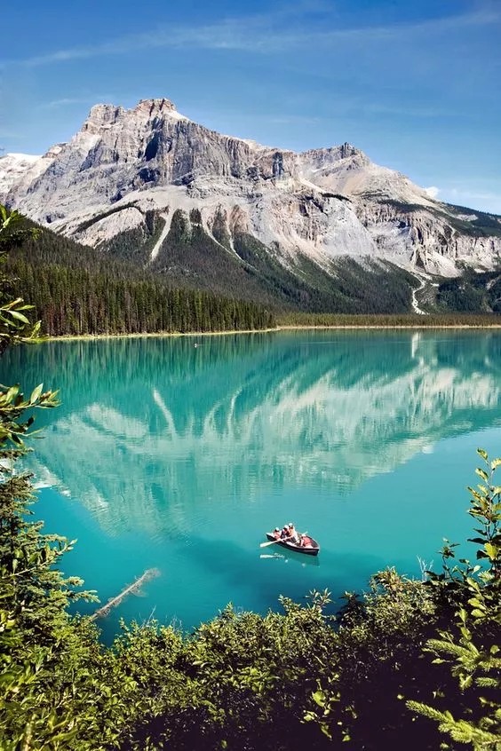 常思思多大,常思思怎样出名的