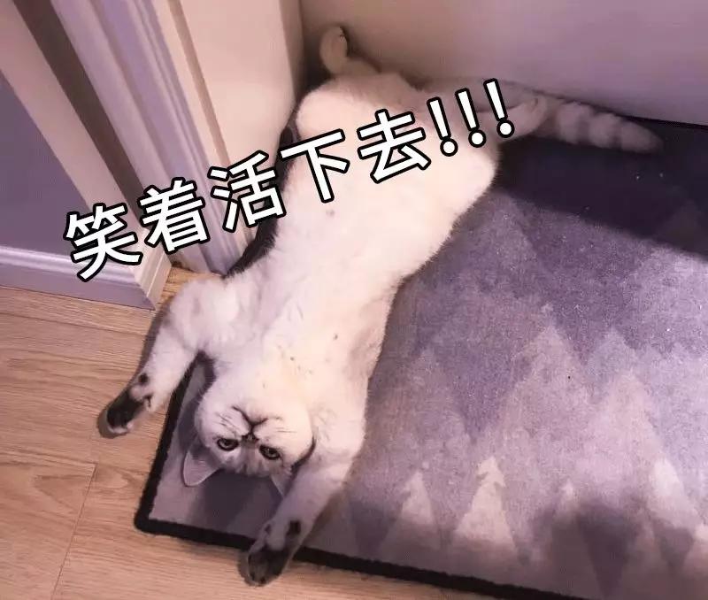 可转债打新多个账户申购方法,可转债打新教程之小白必读