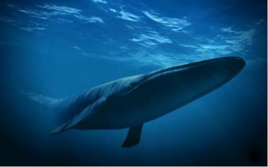 10万左右的suv欧尚x7,10万长安7座大型suv