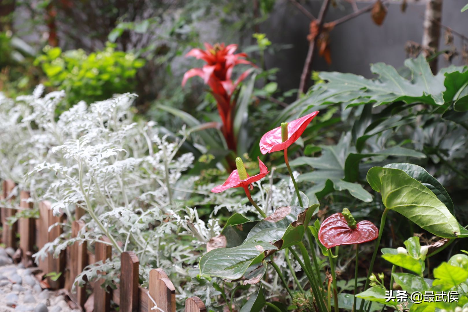 垃圾场变身生态长廊,垃圾场变网红景点