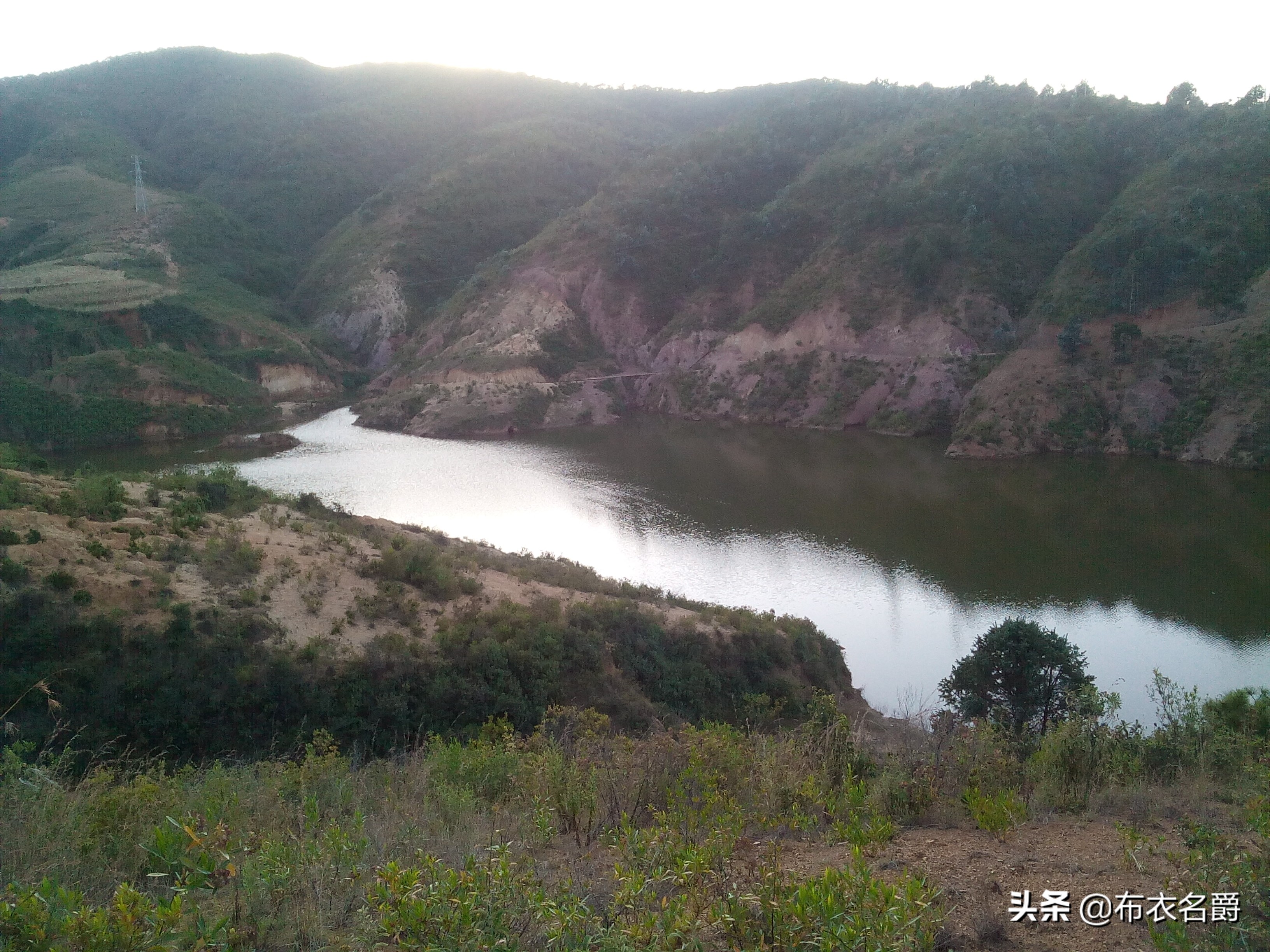 猪败血性链球菌的治疗处方,猪附红细胞体病最佳治疗