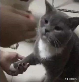 万里挑一加盟,万里挑一高手在哪里