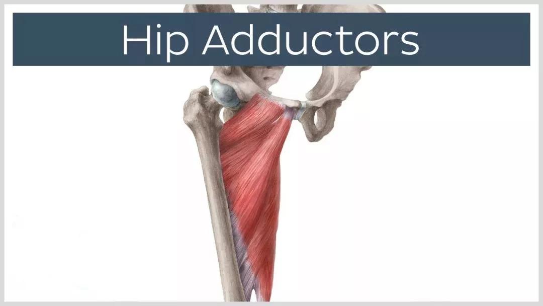 怎么练成大长腿懒人动作,如何练成笔直大长腿