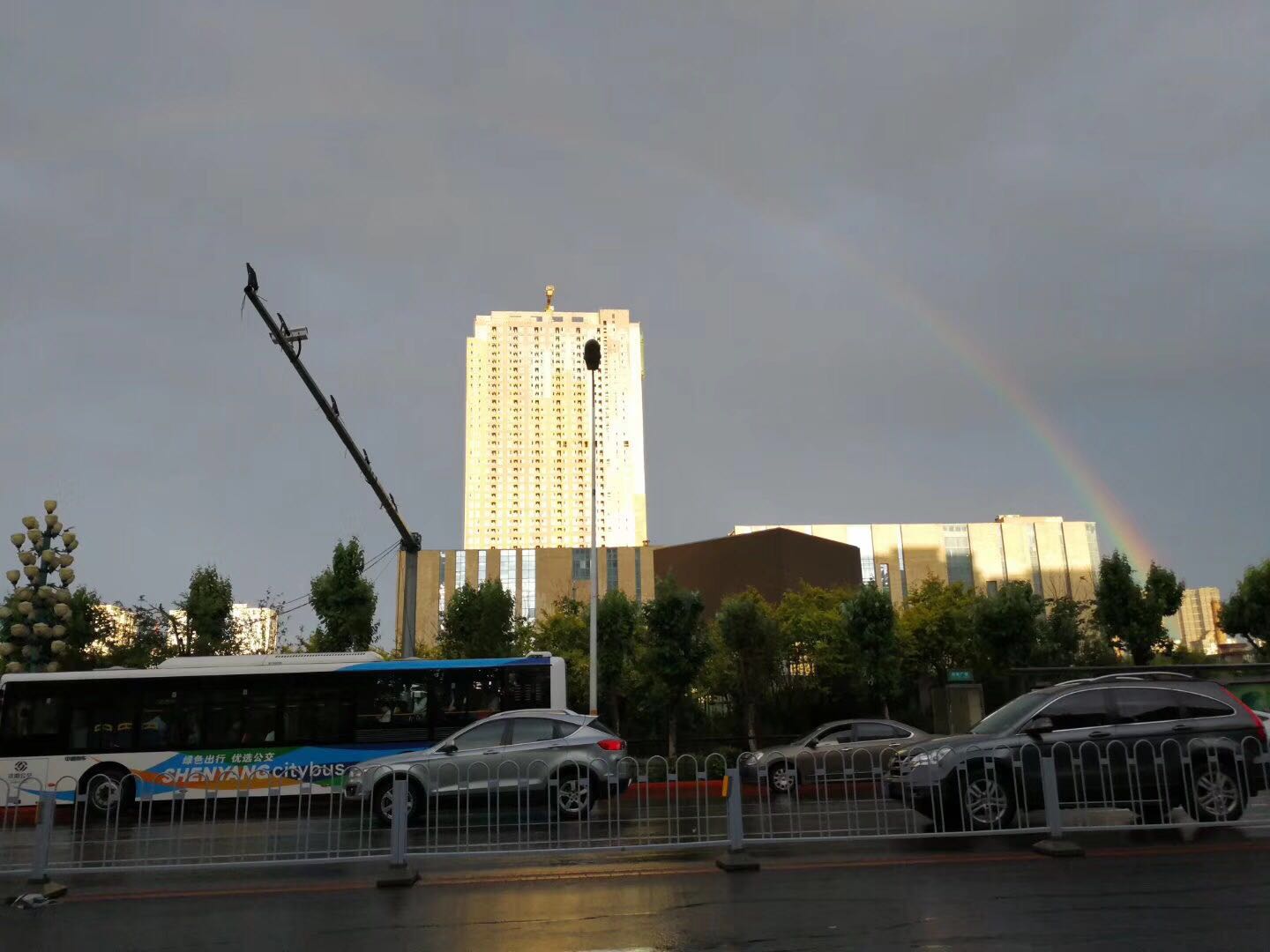 家用两个车怎么选,想省油又省心不妨看看这两款车