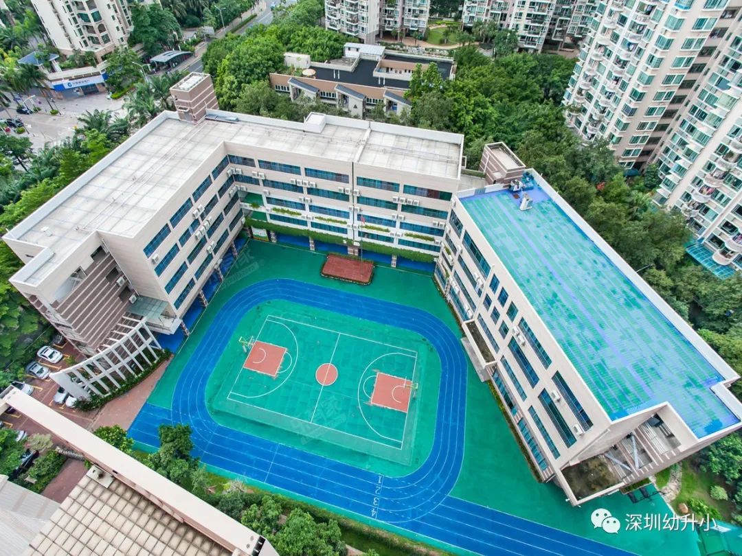 扒名校！2021深圳这个教育强区TOP15学校名单出炉