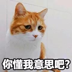 广州不满半年怎么办理居住证,广州不办居住证有什么影响