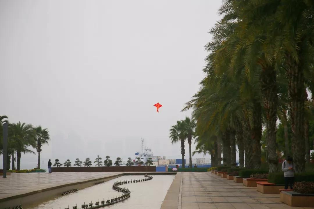 去厦门吹海风,来去厦门观光享受清凉的海风