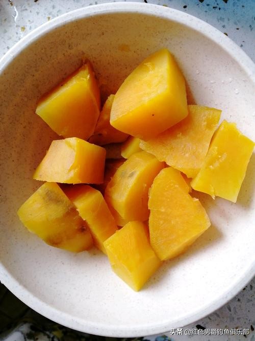 野钓钓大物用什么竿和饵料,手竿钓大鱼饵料怎么做