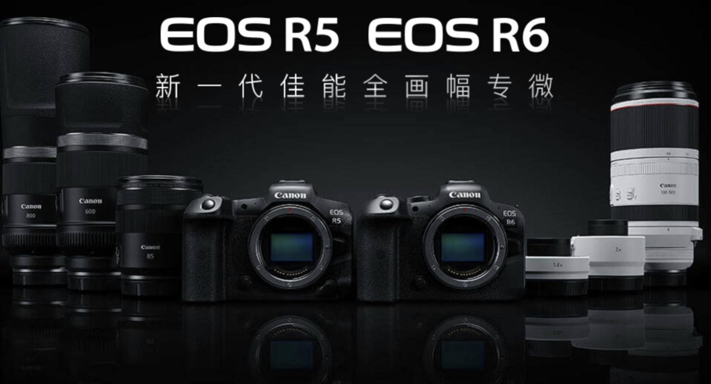 佳能哪款全画幅最值得买,佳能最便宜的全画幅无反相机