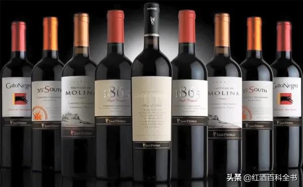 澳洲酒和智利酒,澳洲酒和智利酒的区别