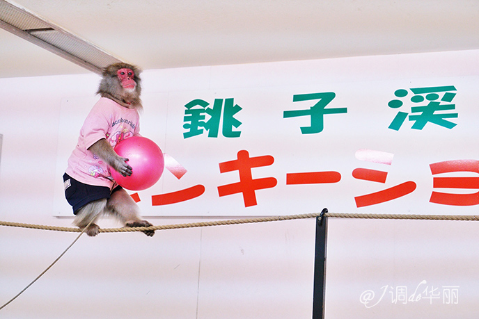 日本大阪距东京多摩市多远,日本大阪离海边有多远