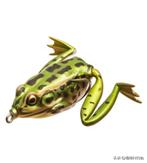 北美钓鱼入门技巧,加拿大钓鱼装备新手推荐