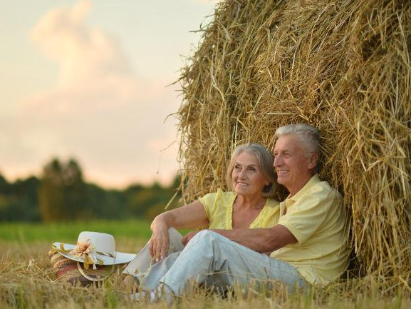 丁克一族三十年后的生活,丁克一族现在都老了吗
