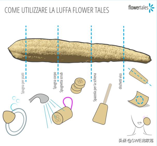 用棉质洗碗布好吗,怎样用棉质洗碗布