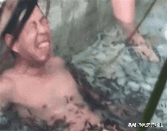 做鱼疗导致鱼儿全死原因,做鱼疗导致鱼儿全死搞笑视频