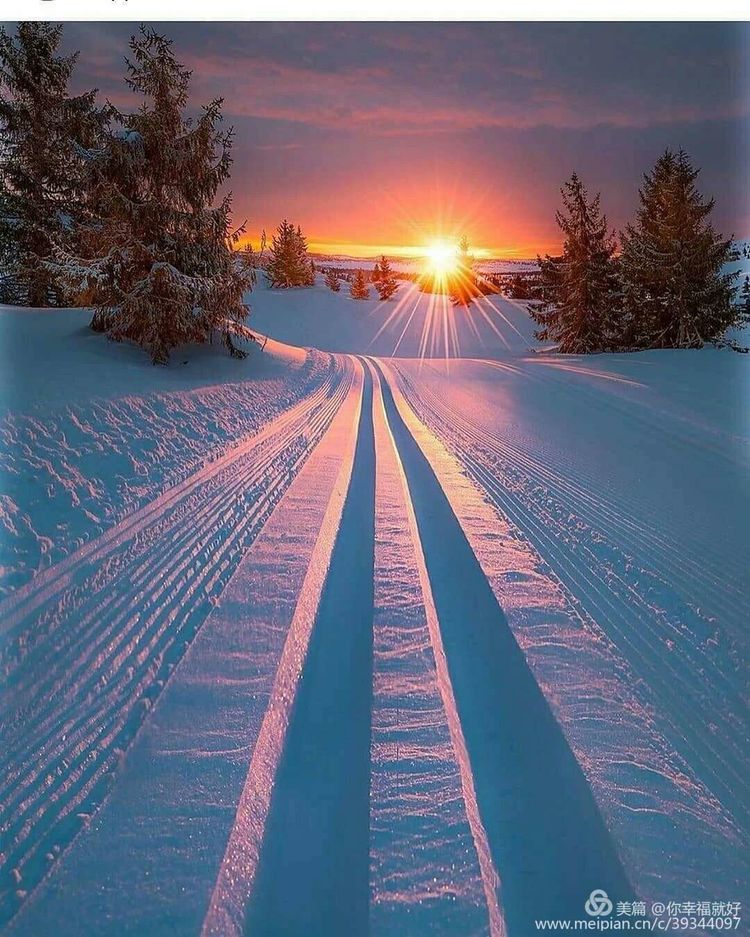 鐗╂崲鏄熺Щ閲夎壊涔嬪厜,鐗╂崲鏄熺Щ鍏ㄩ儴浣滃搧