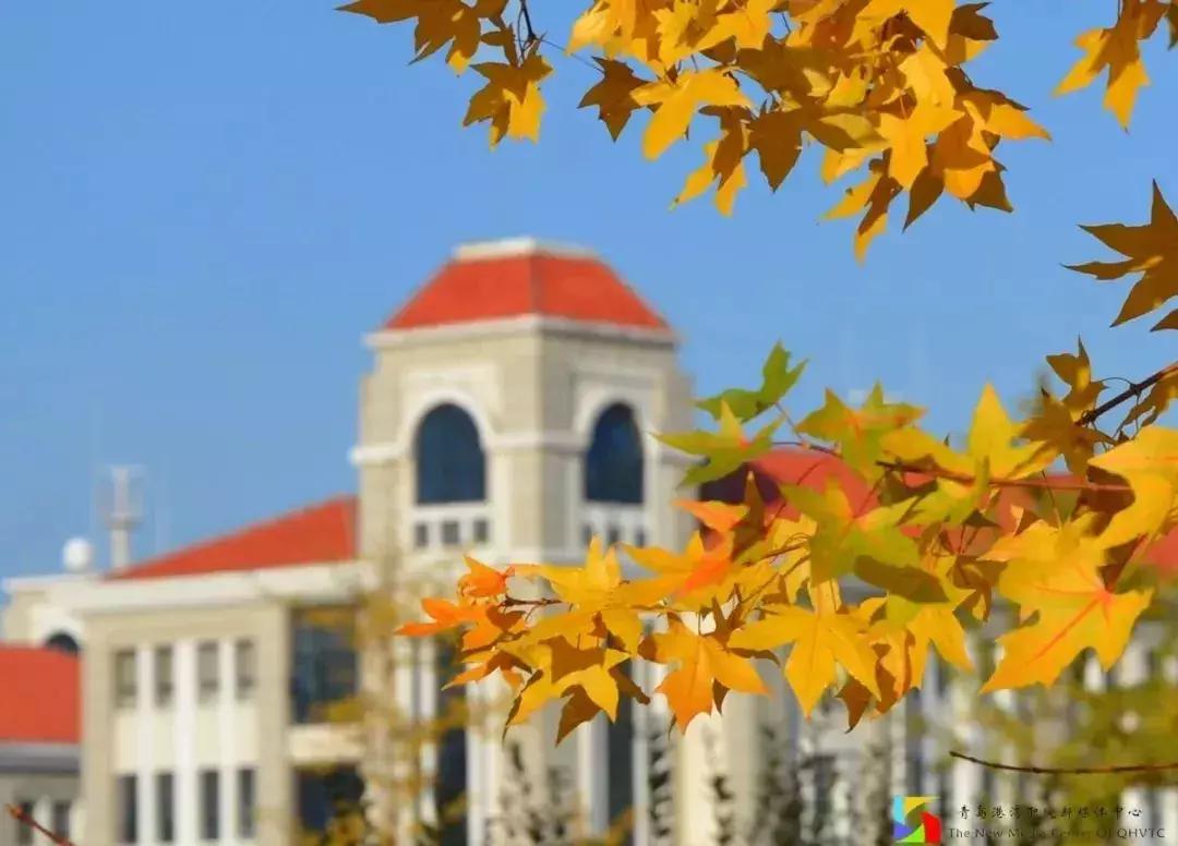 闈掑矝娓咕鑱岄櫌鏂扮敓,闈掑矝娓咕鑱屼笟瀛﹂櫌鍒樻皯