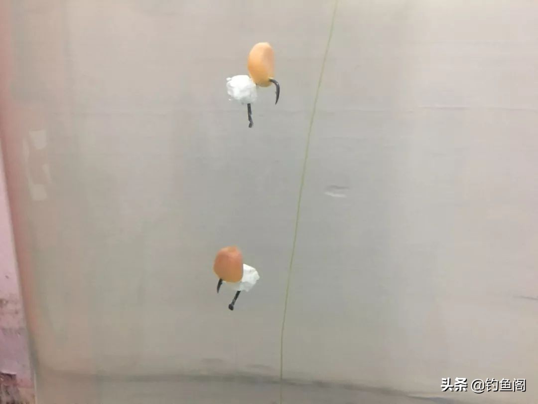 水太肥鱼鲫鱼不吃饵怎么办,水太肥鱼不肯吃饵怎么办