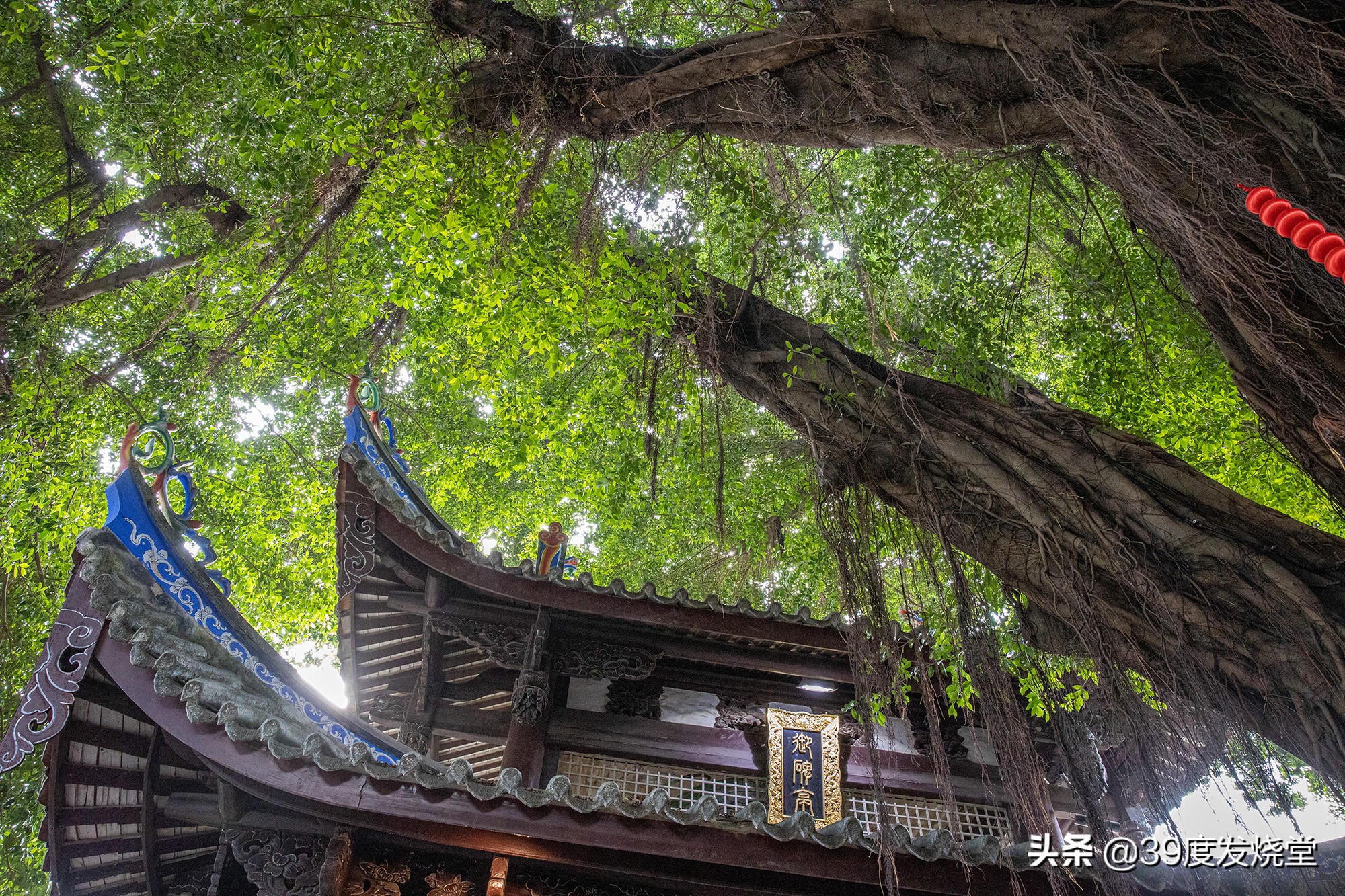 佳能rf大三元哪个好一些,最轻巧的大三元佳能rf70-200mmf2