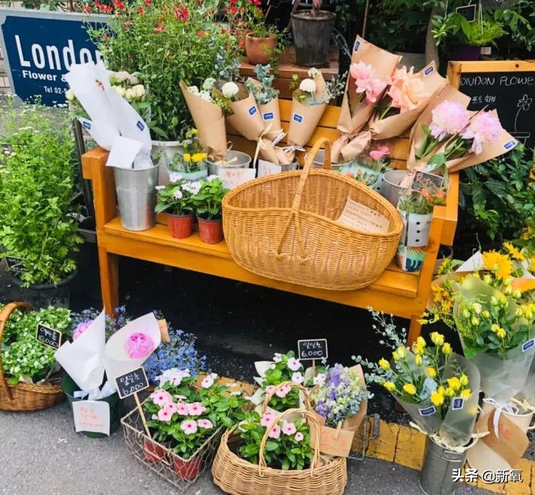 日韩旅游必须绕过的7大坑,日韩旅游从哪里出发便宜