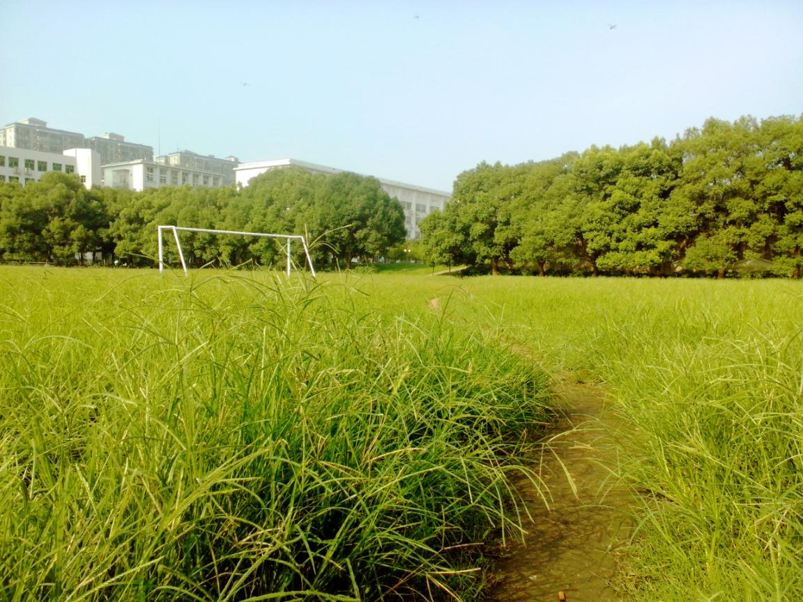 香樟往事——02宿管的女儿