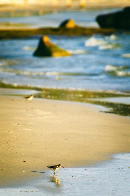 富国岛的真实情况,富国岛趣事