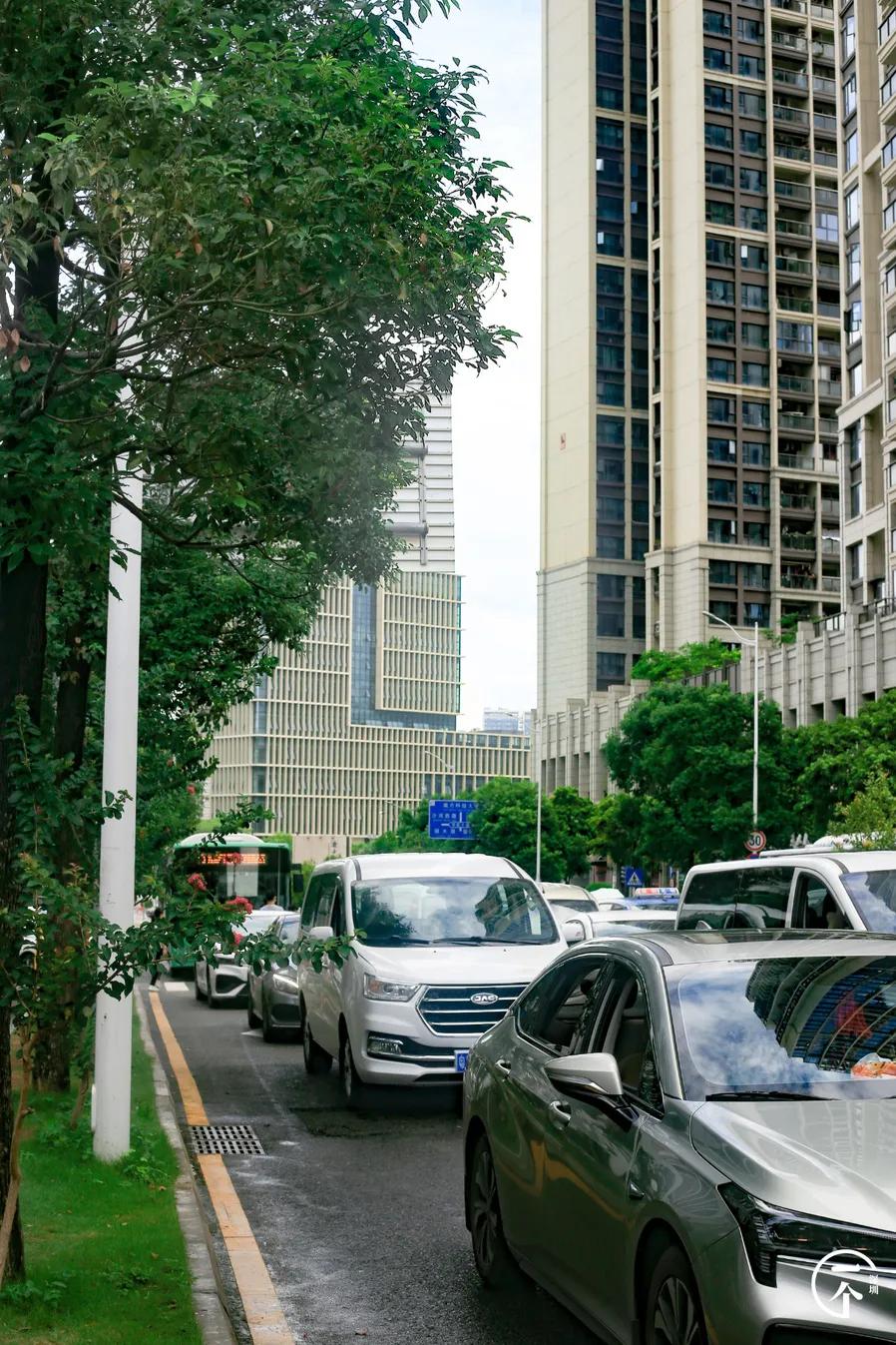 塘朗租房贵吗,西丽塘朗房租