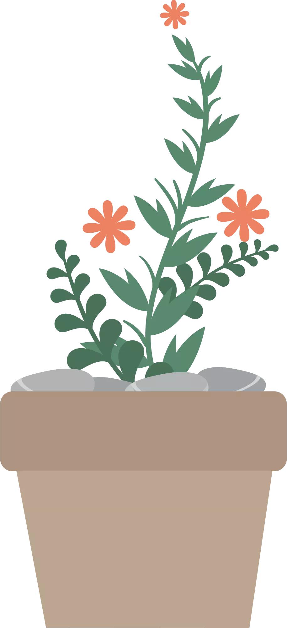 教师如何培养小学生的阅读能力,小学教师靠阅读成功