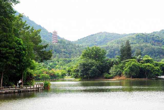 骑单车要怎么学会骑行技巧,单车怎么骑行最划算