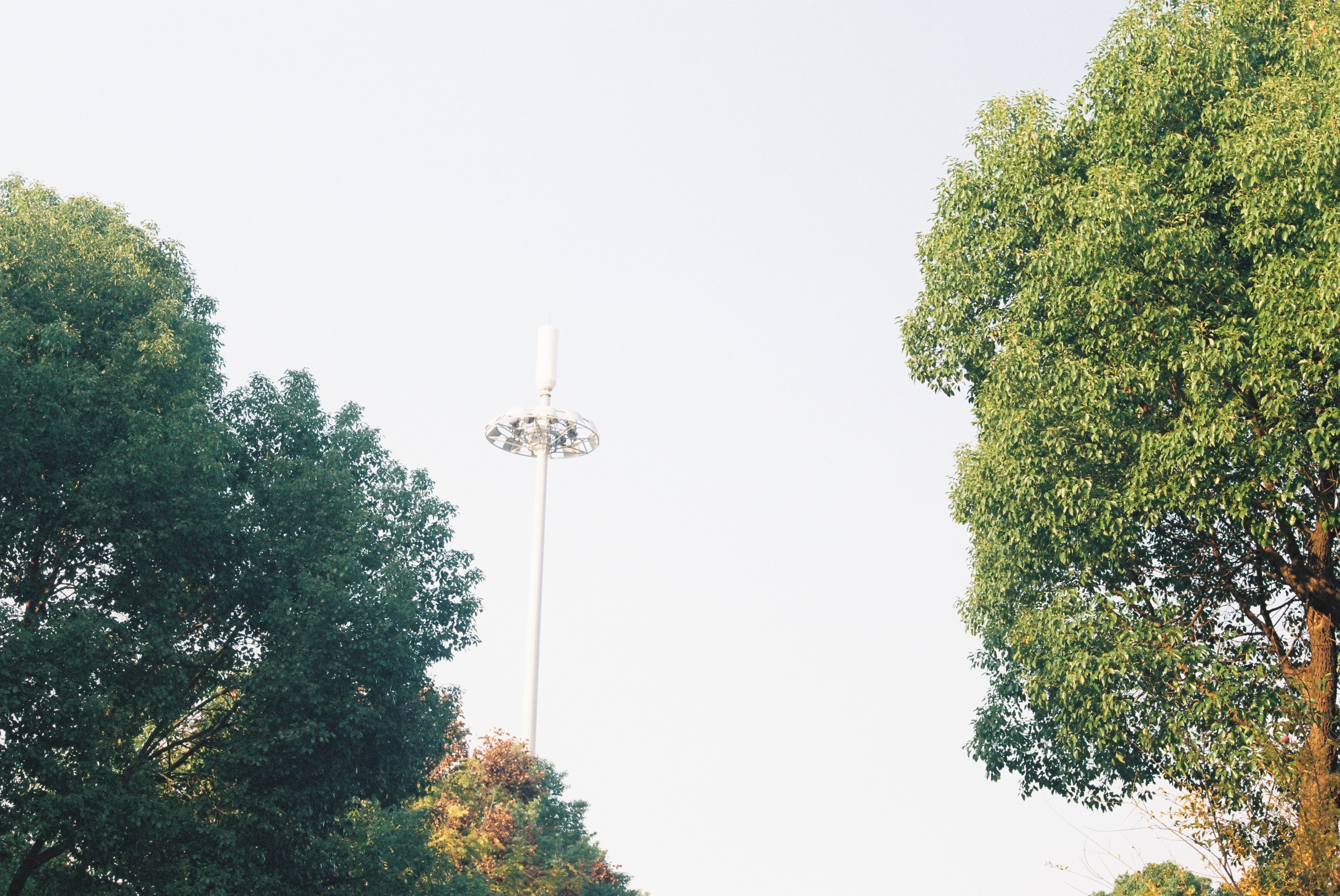 第一次拍了胶片怎么冲洗,坚持胶片拍摄的感受