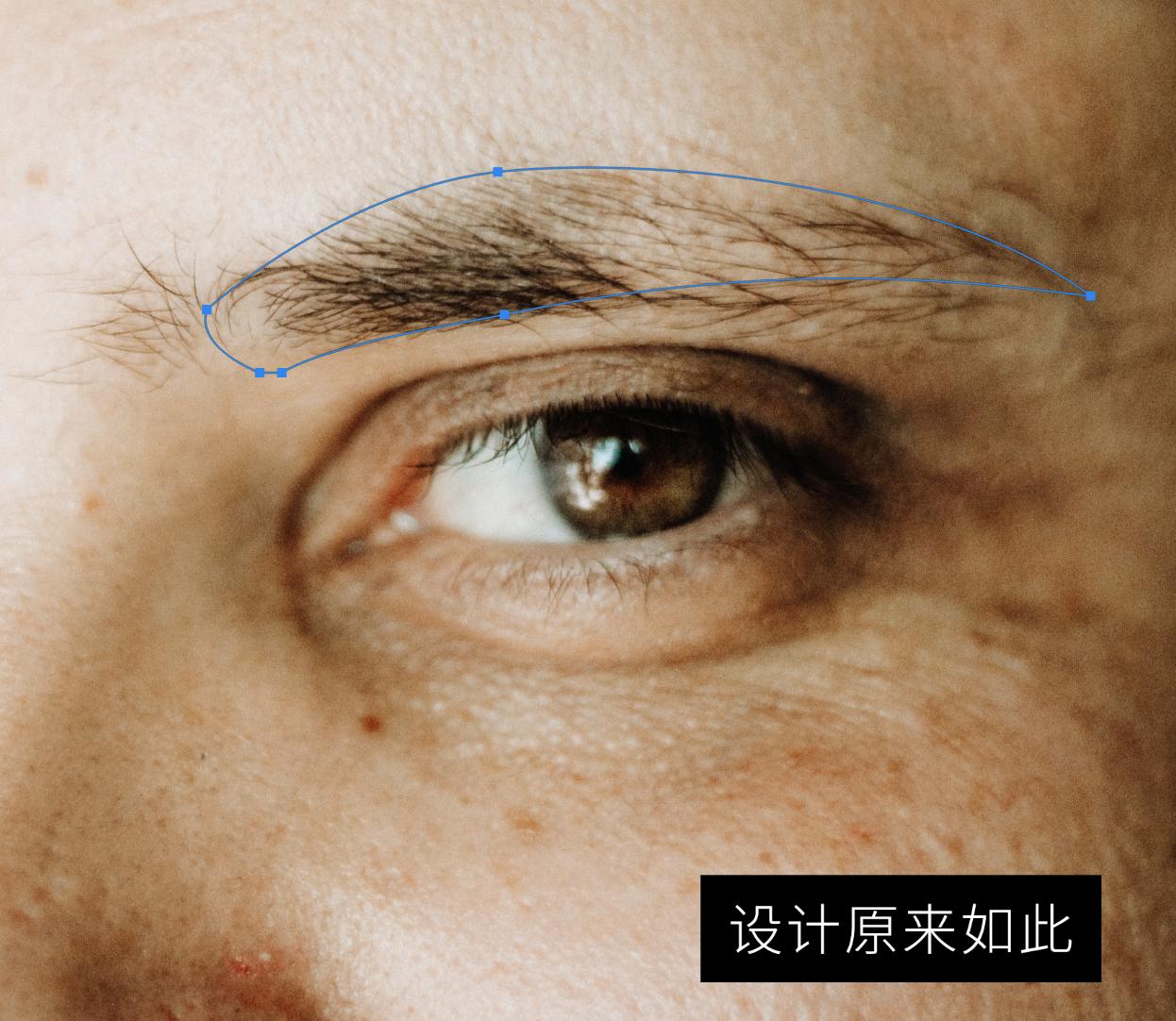 ps修眉教程初学者慢教程,ps眉毛修图