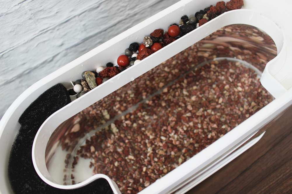 养鱼日记森森鱼缸,水族箱造景养鱼日记