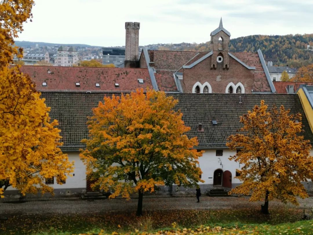 北纬66°34′流浪记——去世界尽头旅行是种什么体验?