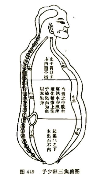 古代名著对于“三焦”的认识举隅，有形无形之辨