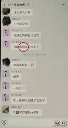 海狗丸平替,海狗丸up主