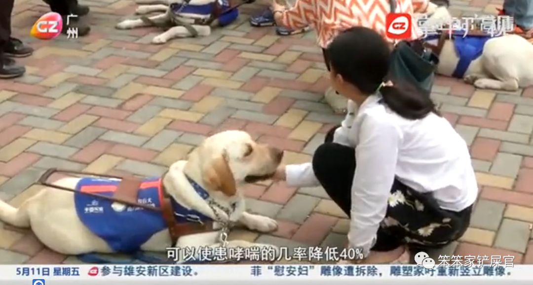 猫咪有没有细菌传染给小孩,猫咪病菌辟谣