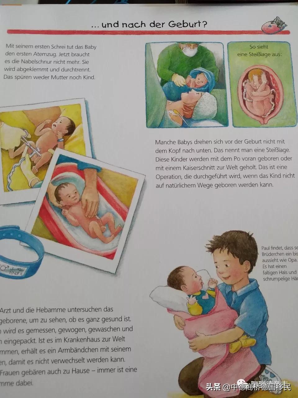 德国性教育绘本,德国儿童性教育