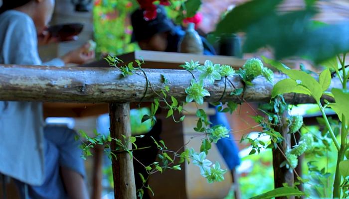 李子柒挖竹笋全过程视频,李子柒制作春笋视频