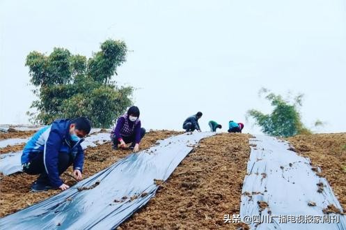 「抗击疫情」四川省电视艺术家协会团体会员单位在行动！（三十八）