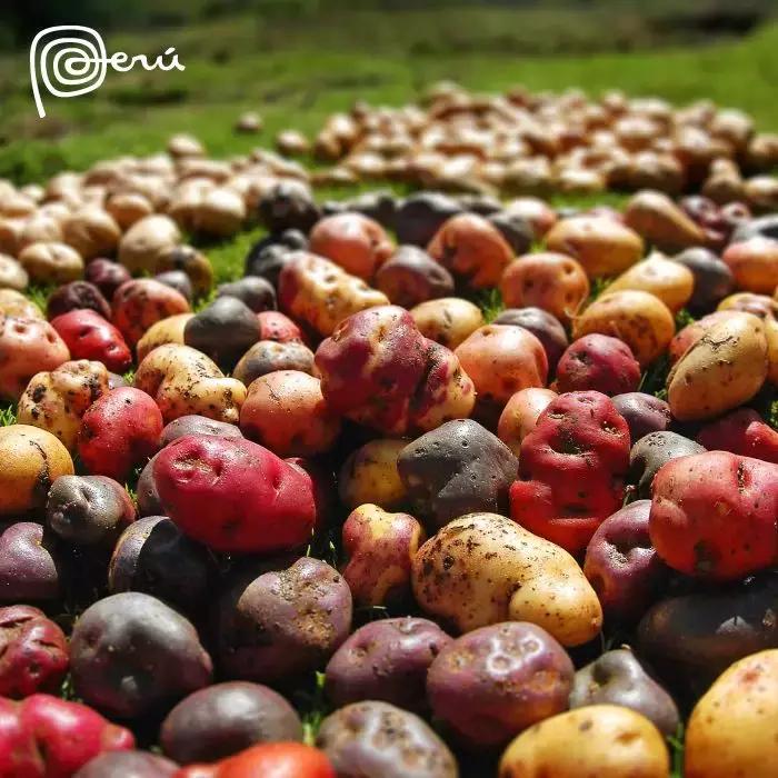 原来秘鲁的历史有那么长长长长长长长长长