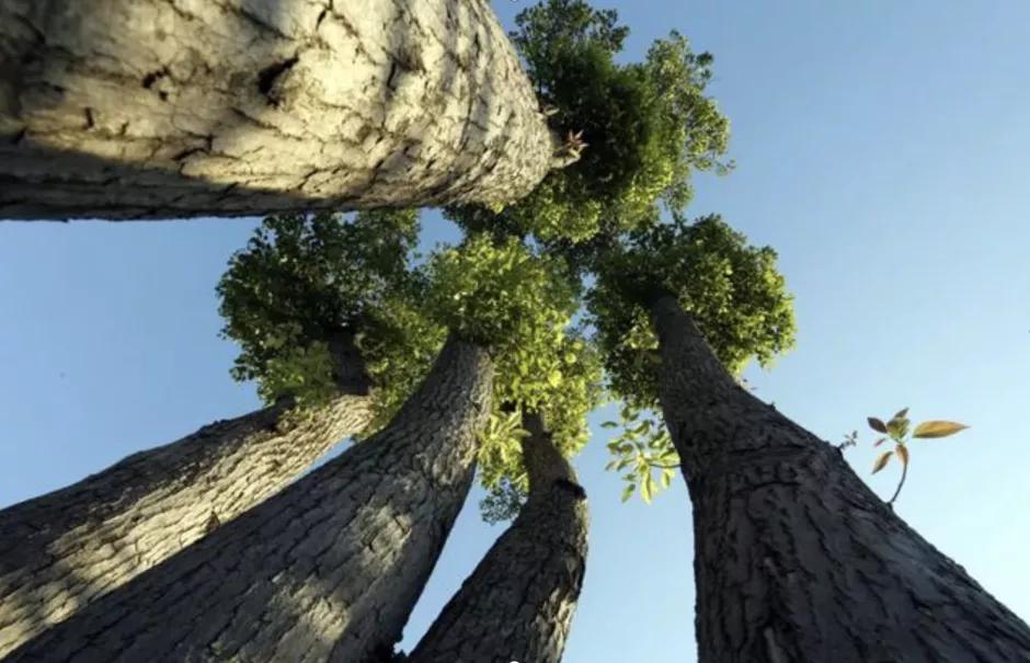 引爆文旅市场,蚌埠城南新建不夜城