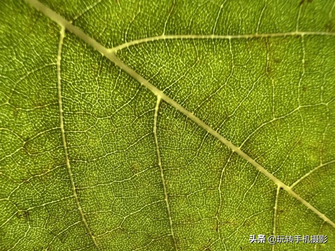 iphone13拍照技巧有哪些,全网最全iphone13系列拍照指南