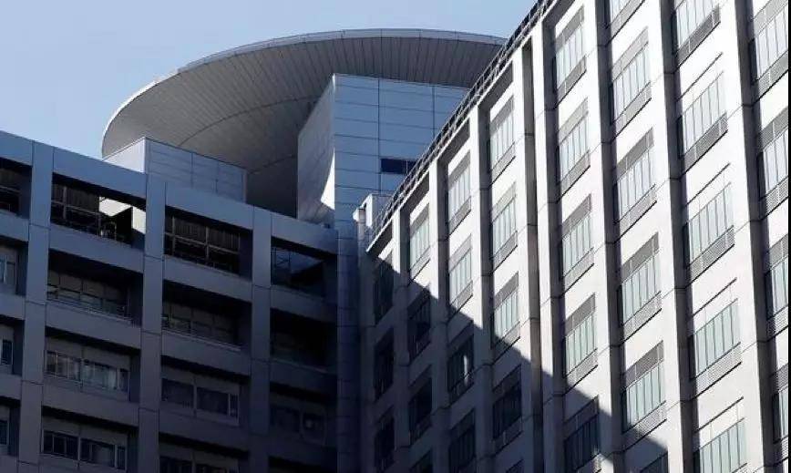 日产为什么告戈恩,日产戈恩弃保现状