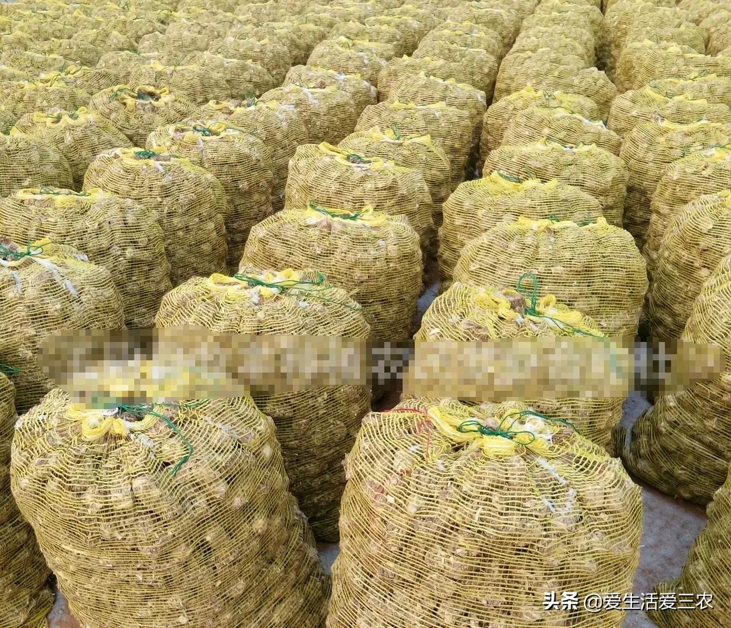 利润很吓人10个冷门农村创业项目,55到65岁在农村能创业什么项目