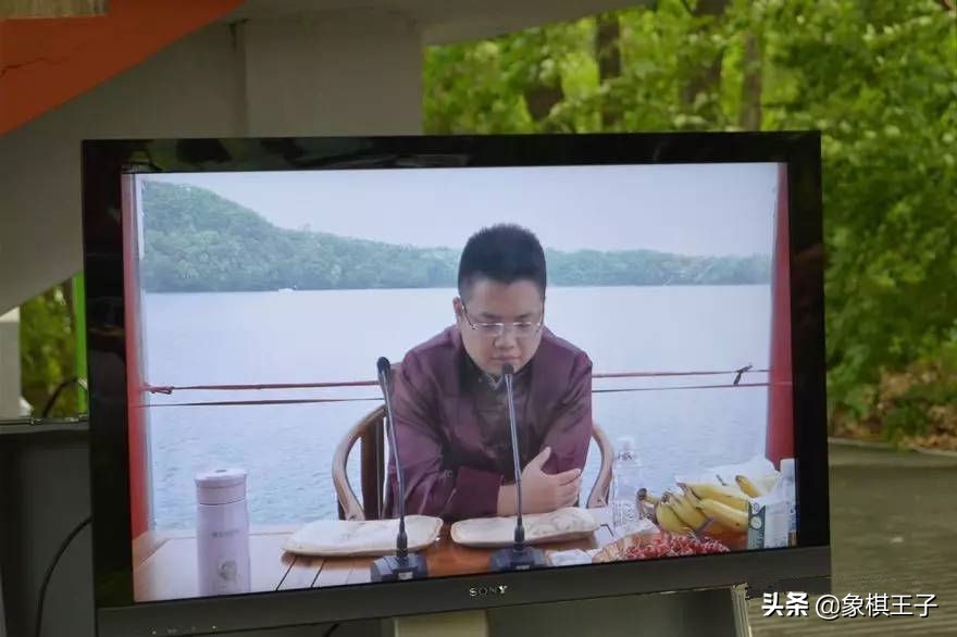 聂卫平与胡荣华下象棋视频,胡荣华与柳大华下象棋视频