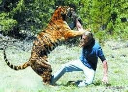 在非洲不幸遇到狮子过来怎么办？动物专家这一招可能救你一命